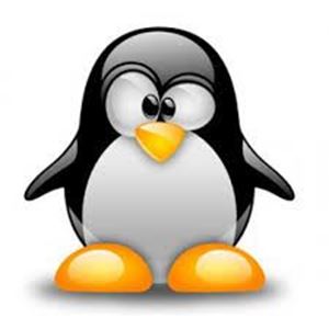 Foto para Alojamiento Linux 1 Gbyte