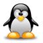 Imagen de Alojamiento Linux 1 Gbyte