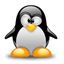 Imagen de Alojamiento Linux 2 Gbytes